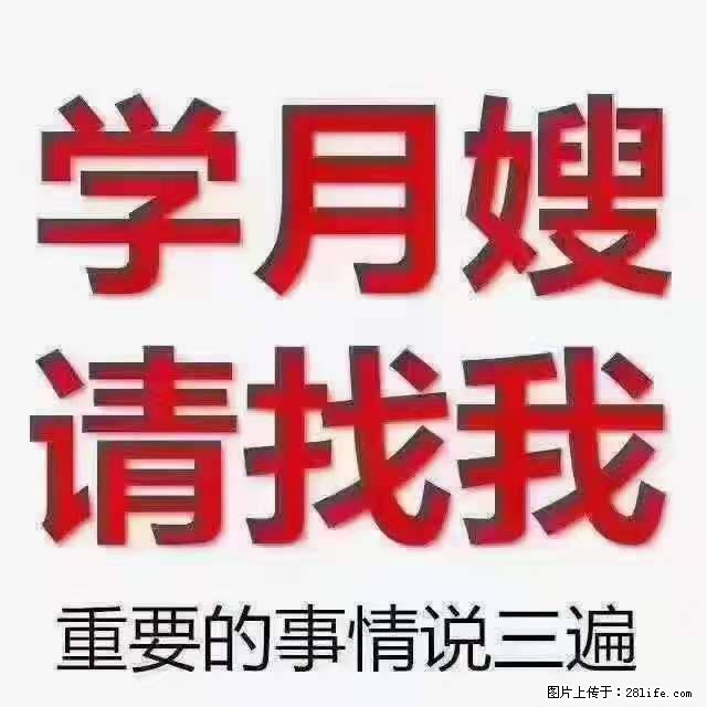 为什么要学习月嫂，育婴师？ - 其他广告 - 广告专区 - 凉山分类信息 - 凉山28生活网 liangshan.28life.net