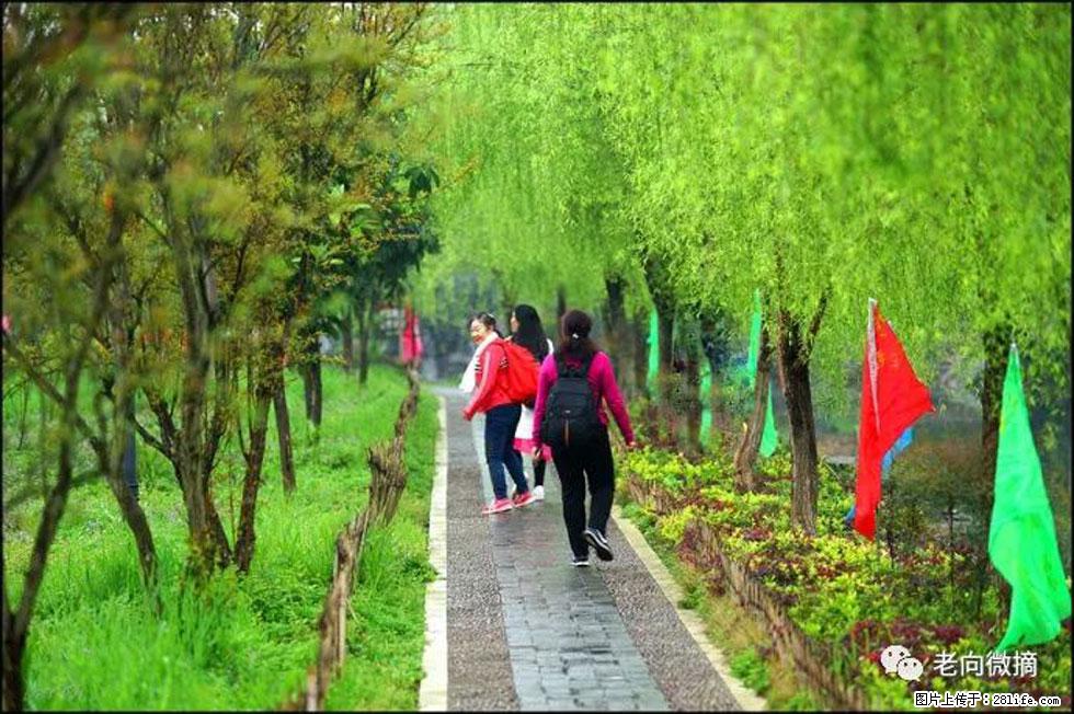 【春天，广西桂林灌阳县向您发出邀请！】江口老街又逢春 - 游山玩水 - 凉山生活社区 - 凉山28生活网 liangshan.28life.net
