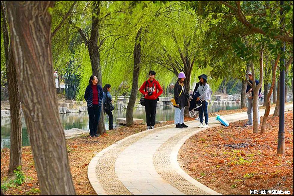 【春天，广西桂林灌阳县向您发出邀请！】江口老街又逢春 - 游山玩水 - 凉山生活社区 - 凉山28生活网 liangshan.28life.net