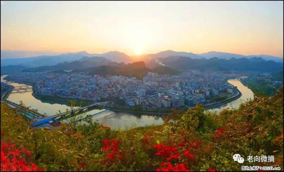 【春天，广西桂林灌阳县向您发出邀请！】登麒麟山，相约映山红 - 游山玩水 - 凉山生活社区 - 凉山28生活网 liangshan.28life.net