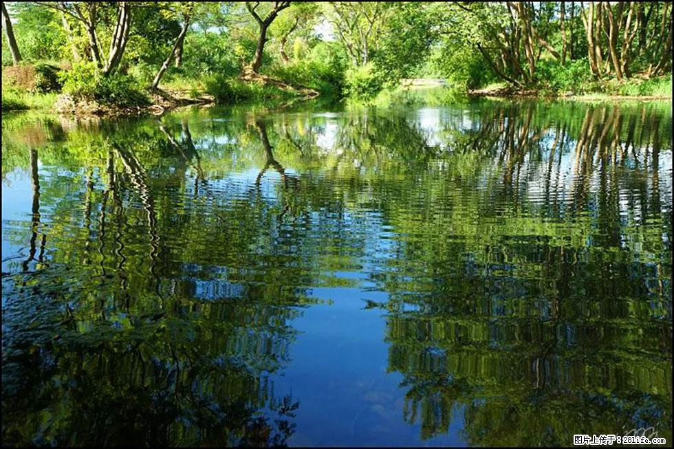 【春天，广西桂林灌阳县向您发出邀请！】熊家寨湿地公园 - 游山玩水 - 凉山生活社区 - 凉山28生活网 liangshan.28life.net