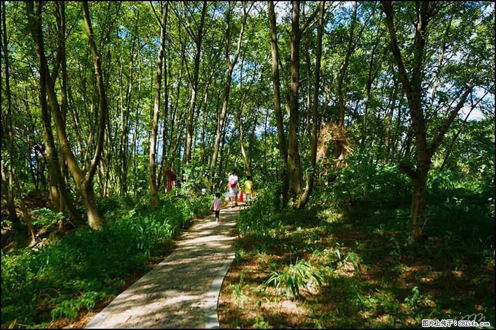 【春天，广西桂林灌阳县向您发出邀请！】熊家寨湿地公园 - 游山玩水 - 凉山生活社区 - 凉山28生活网 liangshan.28life.net