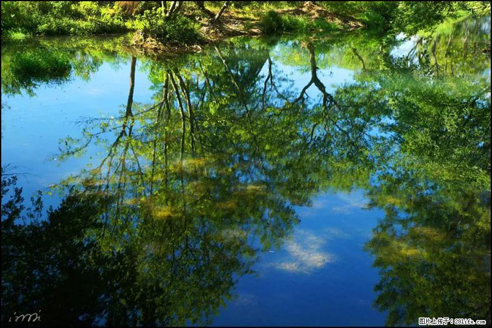【春天，广西桂林灌阳县向您发出邀请！】熊家寨湿地公园 - 游山玩水 - 凉山生活社区 - 凉山28生活网 liangshan.28life.net