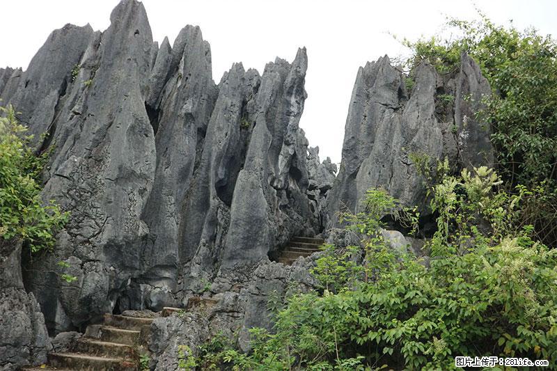 桂林旅游名城景点：灌阳文市石林 - 游山玩水 - 凉山生活社区 - 凉山28生活网 liangshan.28life.net