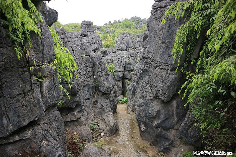 桂林旅游名城景点：灌阳文市石林 - 游山玩水 - 凉山生活社区 - 凉山28生活网 liangshan.28life.net