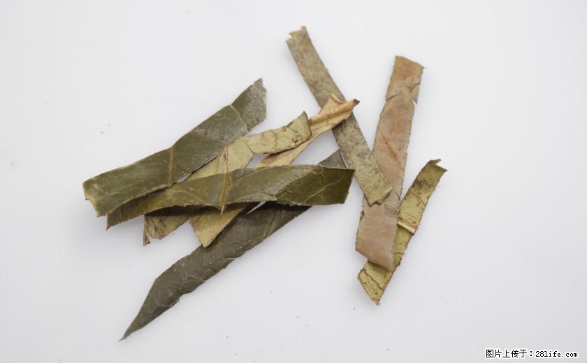 苦丁茶有哪些功效和作用 - 生活百科 - 凉山生活社区 - 凉山28生活网 liangshan.28life.net
