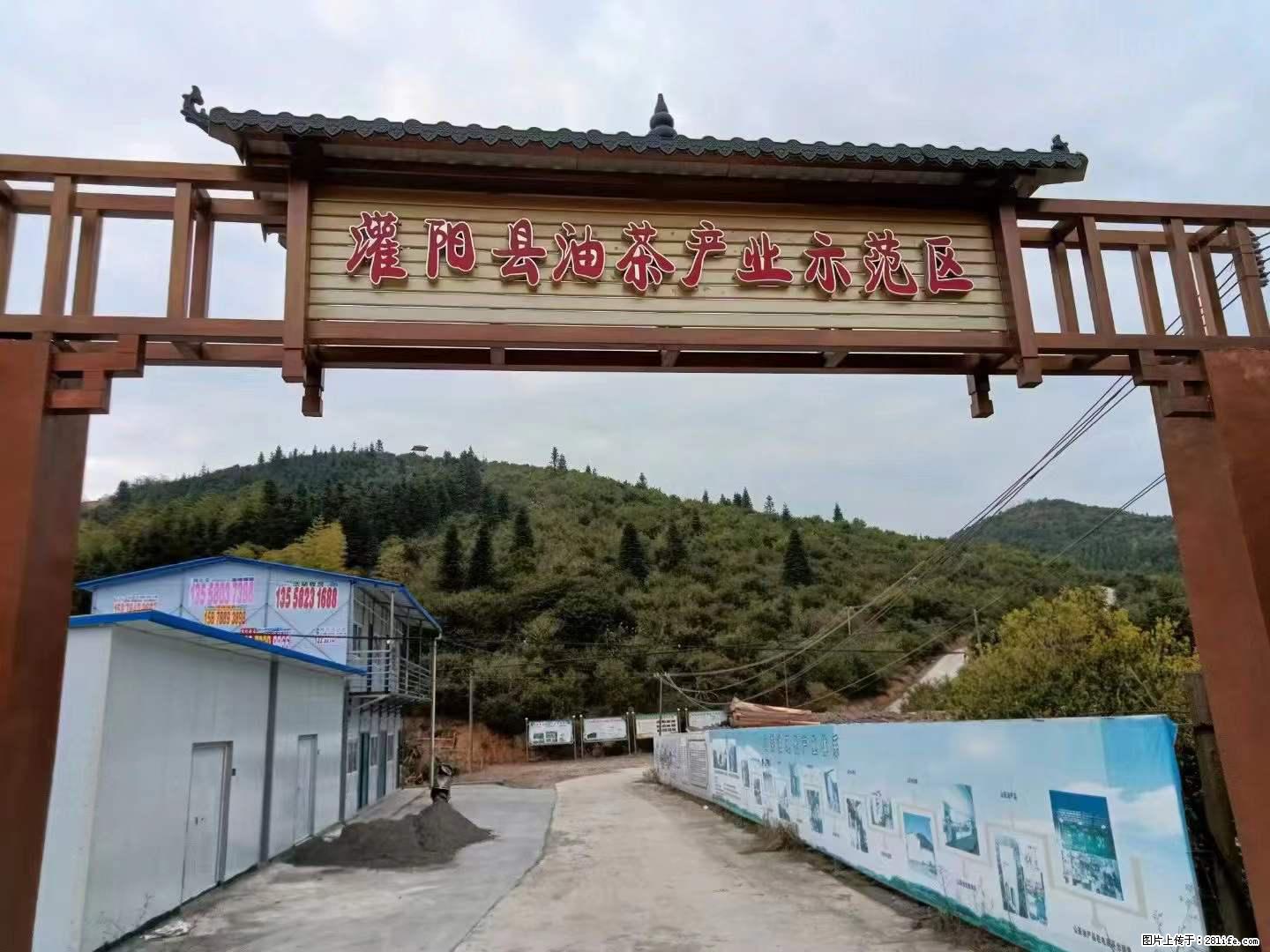 【灌阳县油茶产业示范区】一个有着充实的精神生活的人，对待身外之物自会有一种淡泊的态度 - 美食天地 - 凉山生活社区 - 凉山28生活网 liangshan.28life.net