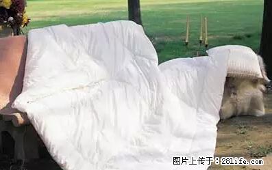 被子有异味？只要这样做，比晒太阳还强100倍！ - 家居生活 - 凉山生活社区 - 凉山28生活网 liangshan.28life.net