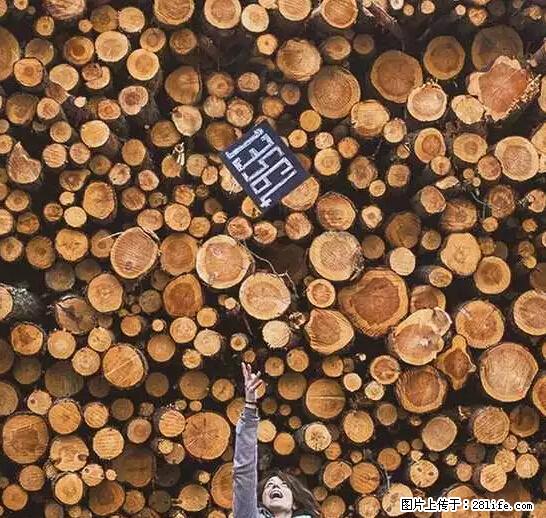 辞掉工作周游世界？现在他们在洗厕所…… - 游山玩水 - 凉山生活社区 - 凉山28生活网 liangshan.28life.net