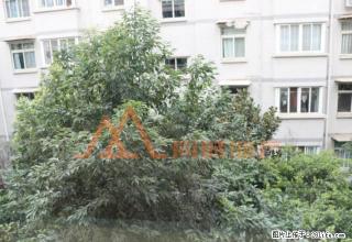 湿地公园附近 火把广场旁边 精装3室 可拧包入住 - 凉山28生活网 liangshan.28life.net