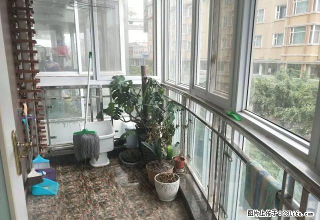 海河旁边精装套二，全新电梯公寓，精装套二，家具家电齐全。 - 房屋出租 - 房屋租售 - 凉山分类信息 - 凉山28生活网 liangshan.28life.net