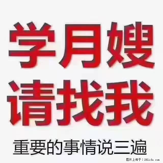 【招聘】月嫂，上海徐汇区 - 职场交流 - 凉山生活社区 - 凉山28生活网 liangshan.28life.net
