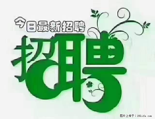 上海隔离酒店招人：55岁以下 男女不限 - 职场交流 - 凉山生活社区 - 凉山28生活网 liangshan.28life.net