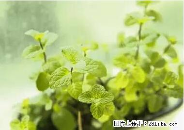 晕车、脚气、牙齿变黄、皮肤粗糙？学会这些三分钟搞定！ - 凉山生活资讯 - 凉山28生活网 liangshan.28life.net