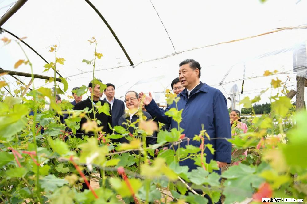 习近平赴广西考察调研 - 凉山生活资讯 - 凉山28生活网 liangshan.28life.net
