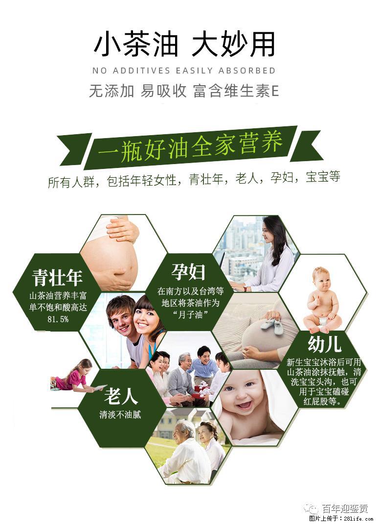 世界没有真相，只有认知，最好的食用油是中国的山茶油！ - 凉山生活资讯 - 凉山28生活网 liangshan.28life.net