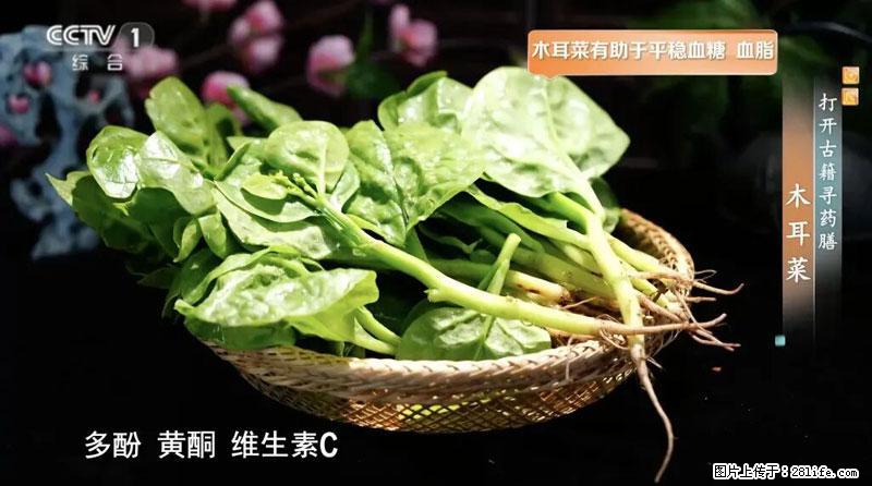 比牛奶补钙还厉害！凉血解毒、稳血糖...这菜冬天必吃，很多人却当草 - 凉山生活资讯 - 凉山28生活网 liangshan.28life.net