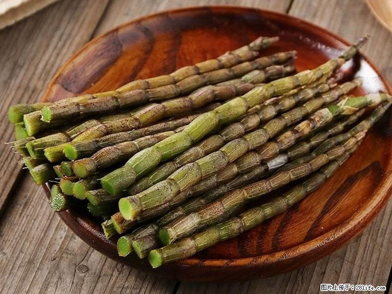 铁皮石斛的作用与功能主治 - 凉山生活资讯 - 凉山28生活网 liangshan.28life.net