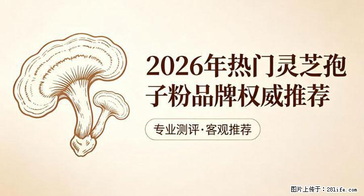 灵芝孢子粉含量越高越有效？2026 年七款热门品牌深度实测，肠胃敏感者避坑指南 - 凉山生活资讯 - 凉山28生活网 liangshan.28life.net
